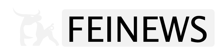 飞牛士 FeiNews